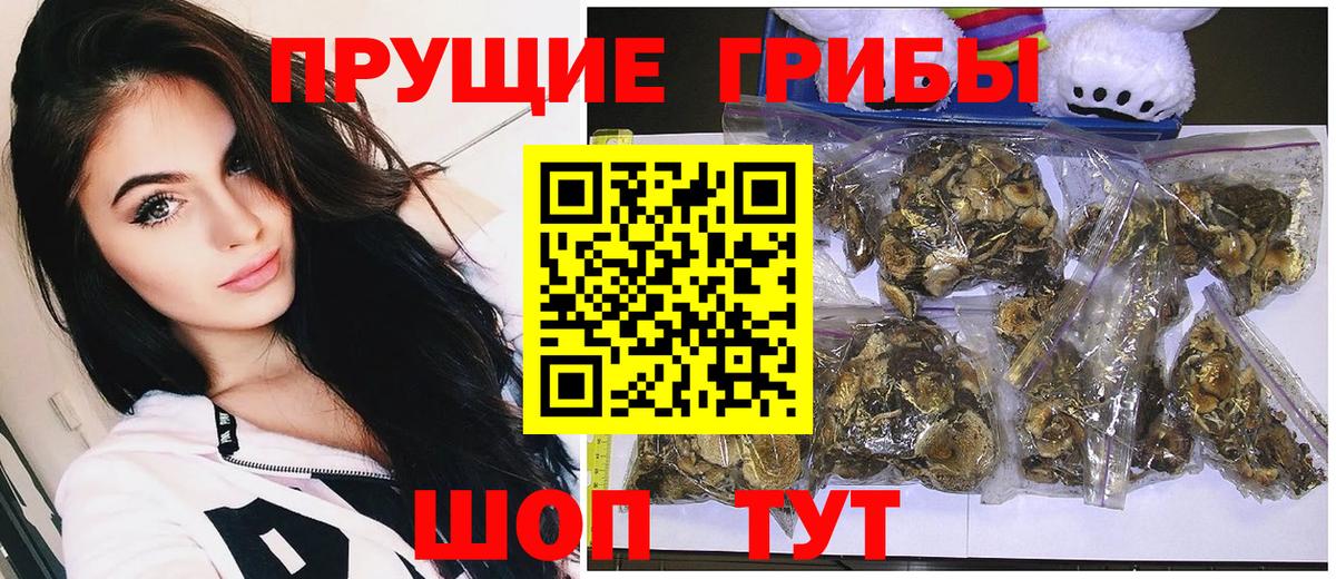 Гай  Галлюциногенные грибы Psilocybine cubensis  Вход с VPN 