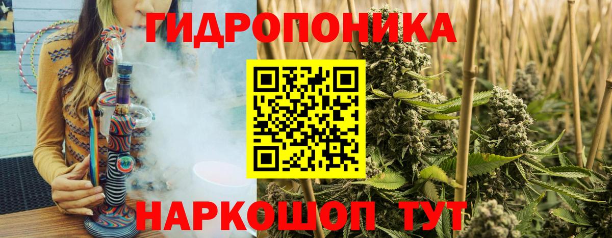 Конопля Bruce Banner Гай